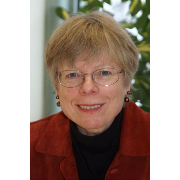 Board Member