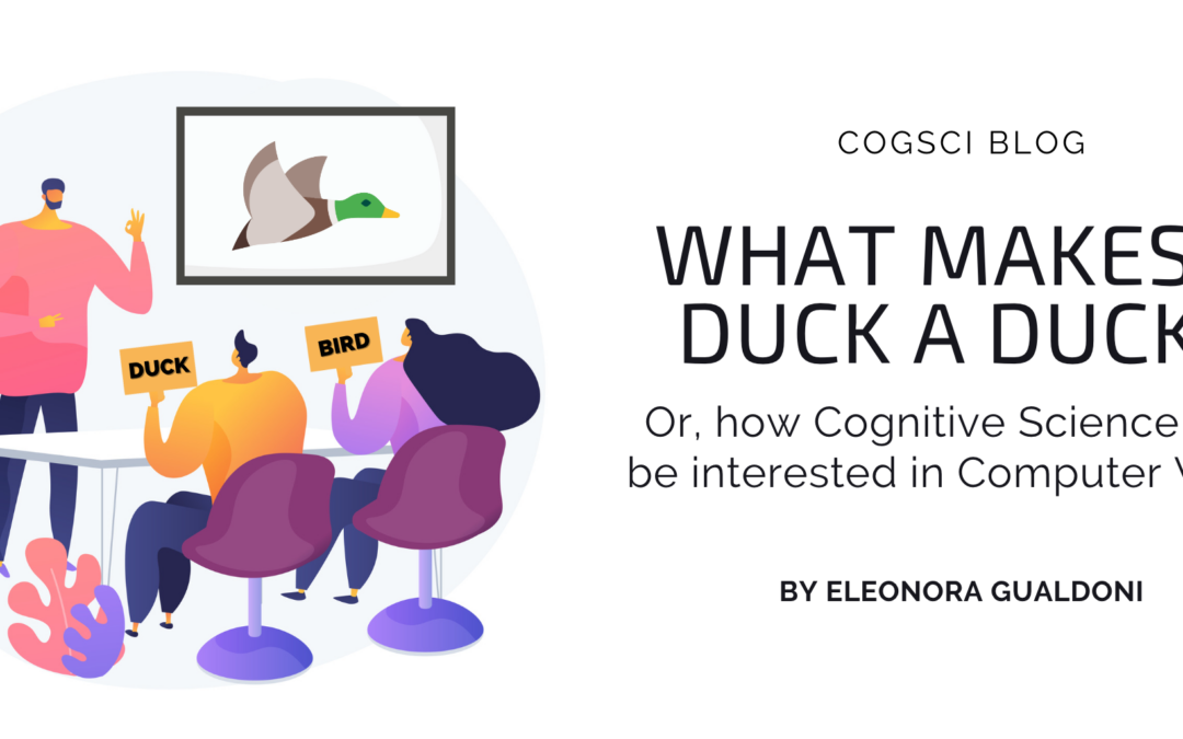 What makes a duck a duck? Or, how Cognitive Science may be interested in Computer Vision